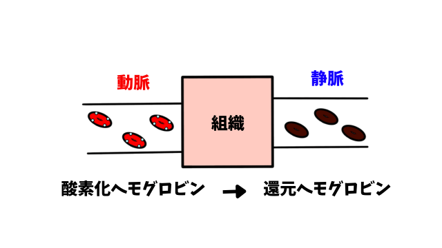 酸化、還元ヘモグロビン