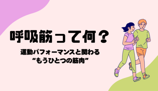 呼吸筋って何？ 運動パフォーマンスと関わる“もうひとつの筋肉”