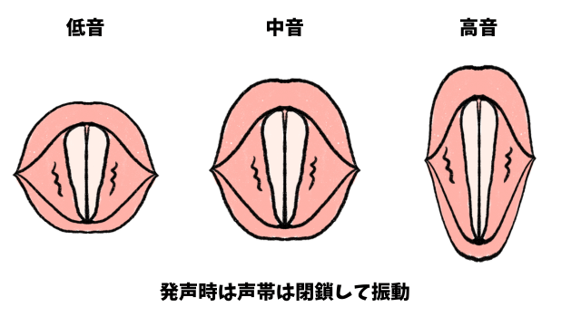 発声のイメージ図