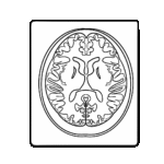 MRI白
